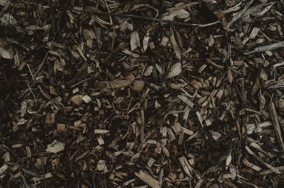 Benefits of mulching services for your trees in Green Bay