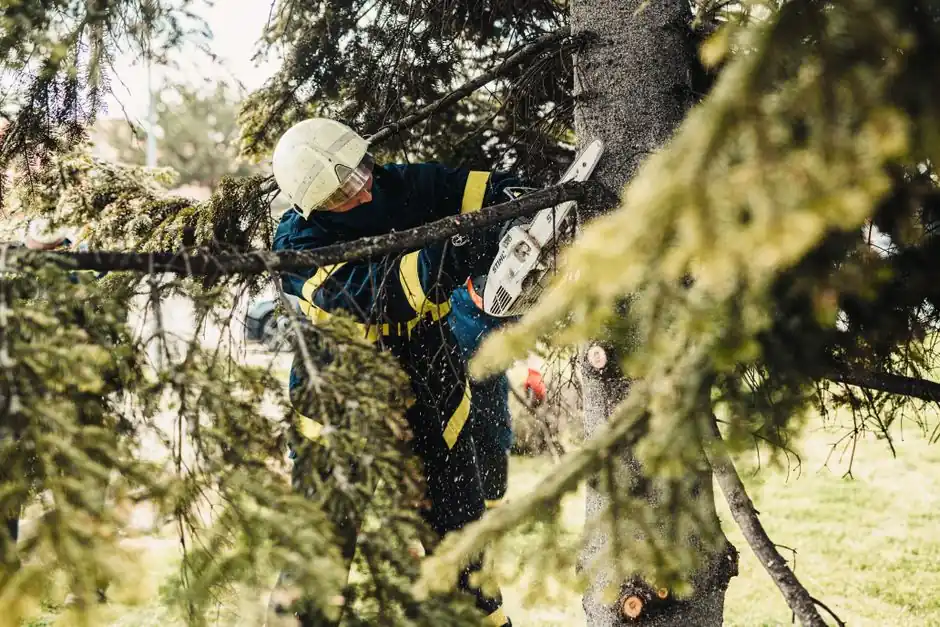 Green Bay Tree Company technicians