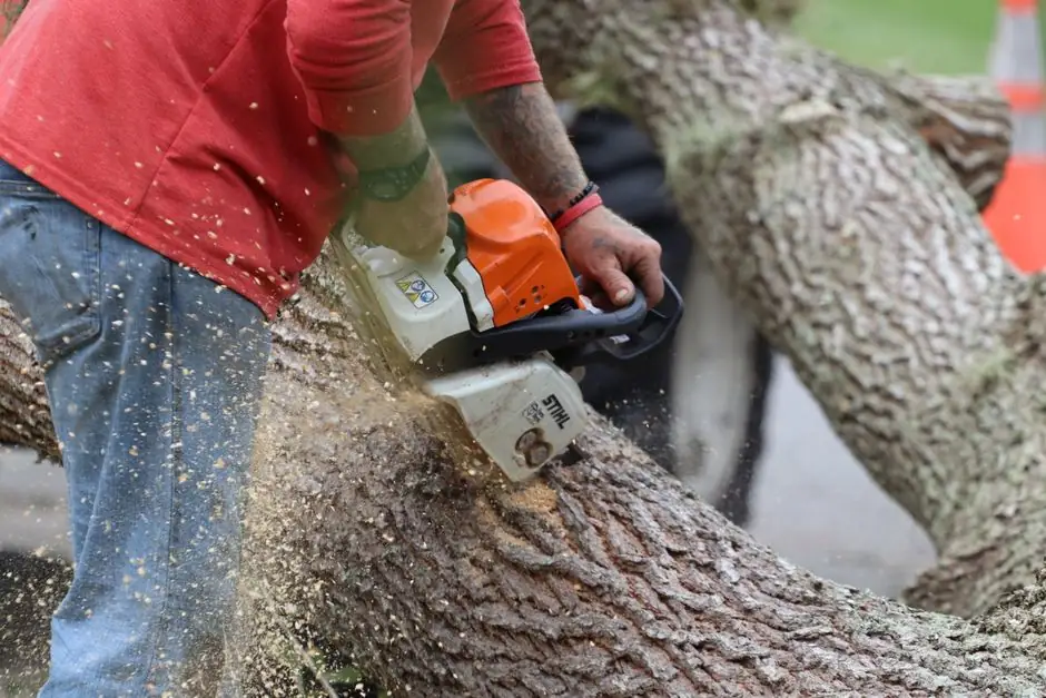 Residential Tree Services