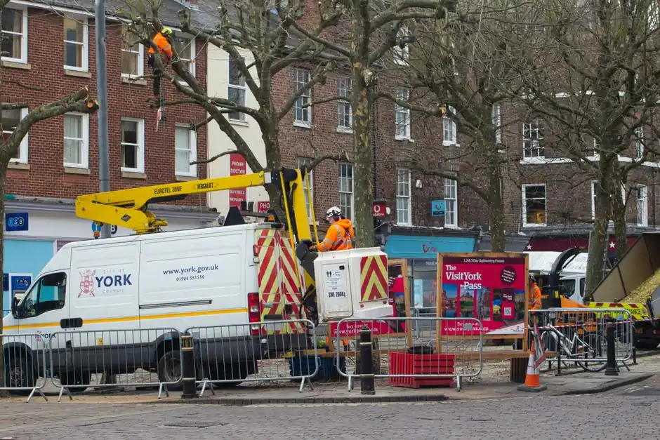 Scene of tree maintenance in York city center with workers and equipment.